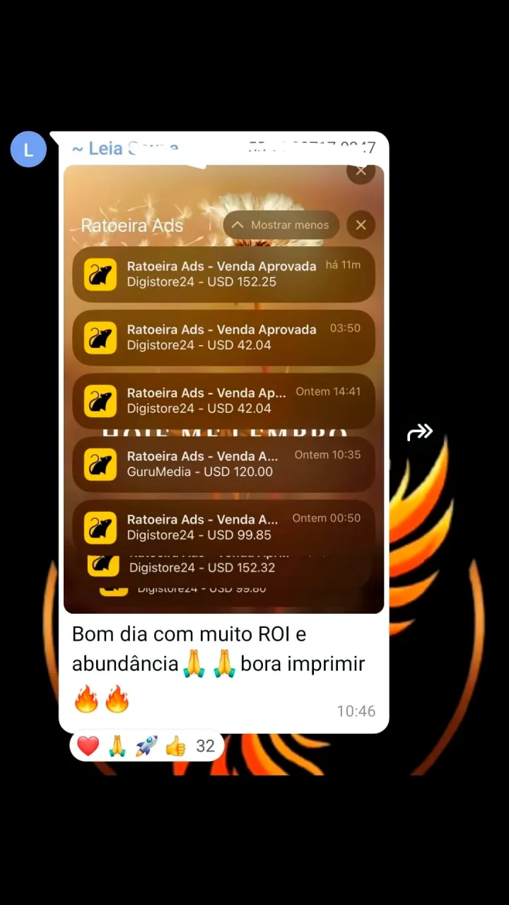 Resultado de aluno Fênix